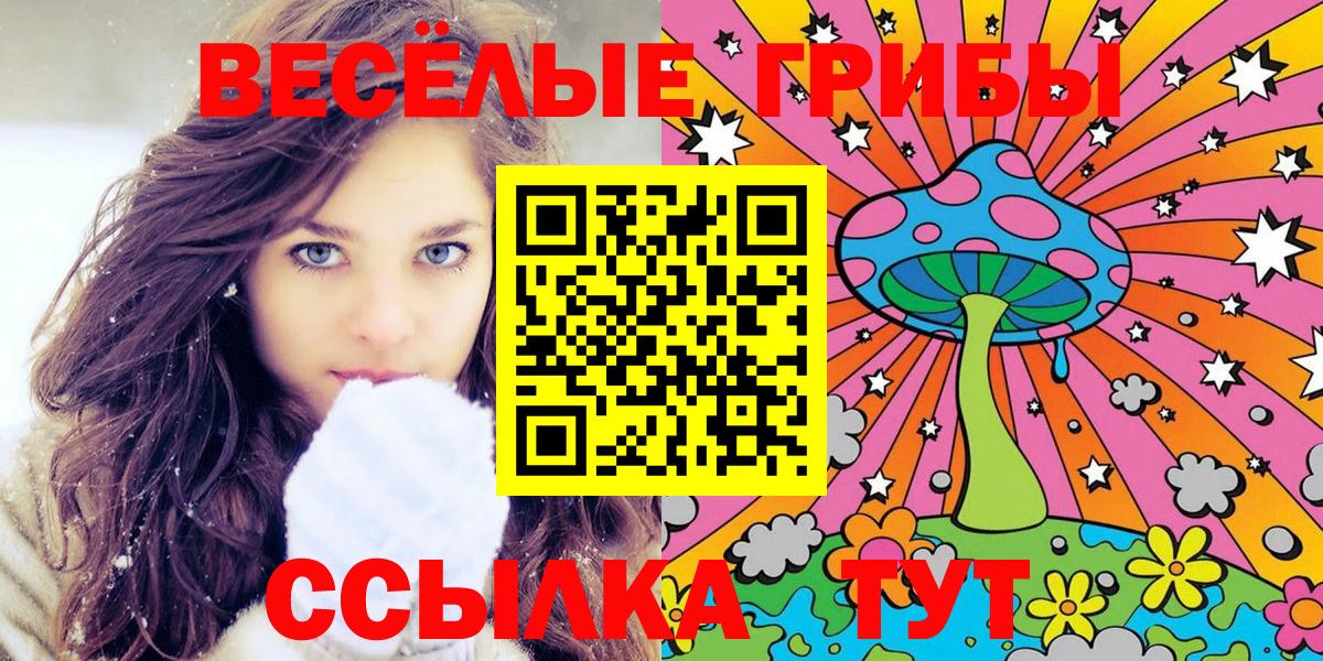 Псилоцибиновые грибы Cubensis Алексин